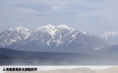 上海哪里看肝炎酒精肝好