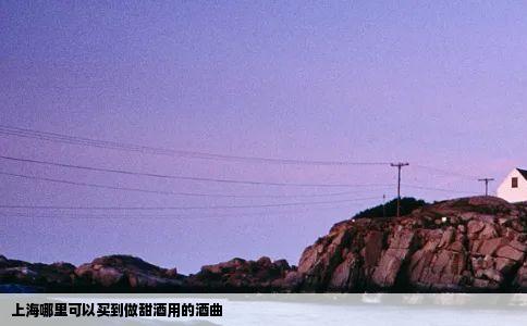 上海哪里可以买到做甜酒用的酒曲