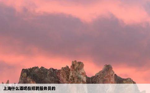 上海什么酒吧在招聘服务员的