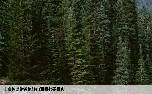 上海外滩附近地铁口那里七天酒店
