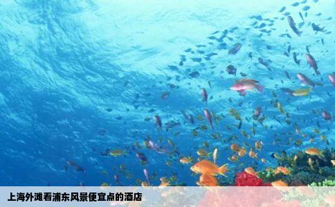 上海外滩看浦东风景便宜点的酒店