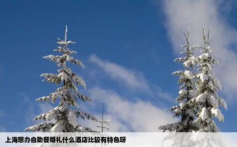 上海想办自助餐婚礼什么酒店比较有特色呀