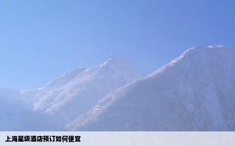 上海星级酒店预订如何便宜
