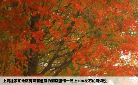 上海徐家汇地区有没有便宜的酒店旅馆一晚上100左右的麻烦说