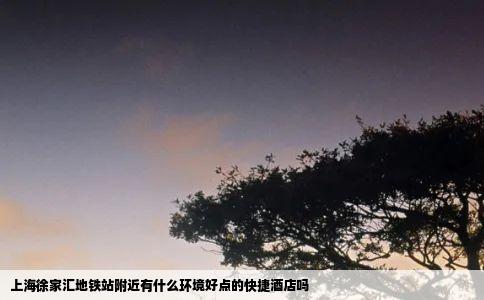 上海徐家汇地铁站附近有什么环境好点的快捷酒店吗