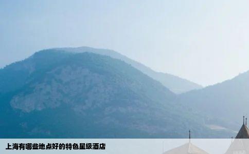 上海有哪些地点好的特色星级酒店