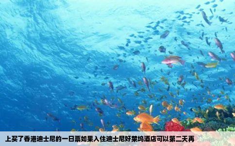 上买了香港迪士尼的一日票如果入住迪士尼好莱坞酒店可以第二天再