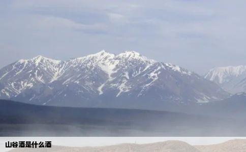 山谷酒是什么酒