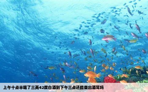 上午十点半喝了三两42度白酒到下午三点还能查出酒驾吗