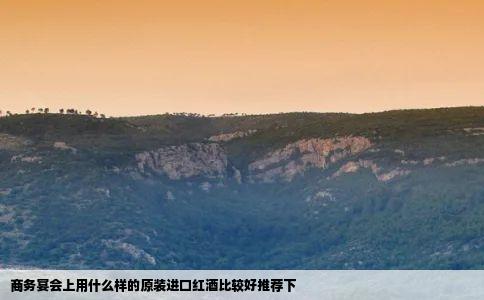 商务宴会上用什么样的原装进口红酒比较好推荐下