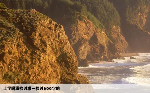 上学喝酒检讨求一检讨600字的