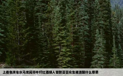 上夜色浓车水马龙闹市中灯红酒绿人皆醉芸芸众生谁清醒什么意思