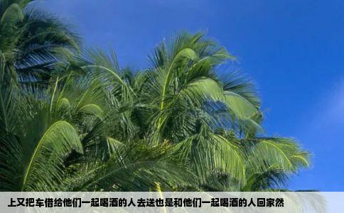 上又把车借给他们一起喝酒的人去送也是和他们一起喝酒的人回家然