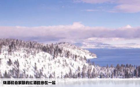 烧酒和自家酿的红酒能掺在一起