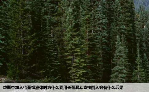 烧瓶中加入待蒸馏液体时为什么要用长颈漏斗直接倒入会有什么后果