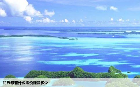 绍兴都有什么酒价钱是多少