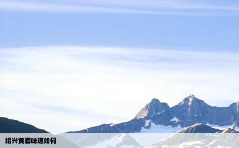 绍兴黄酒味道如何