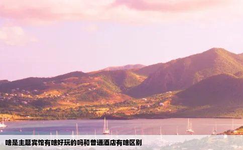 啥是主题宾馆有啥好玩的吗和普通酒店有啥区别