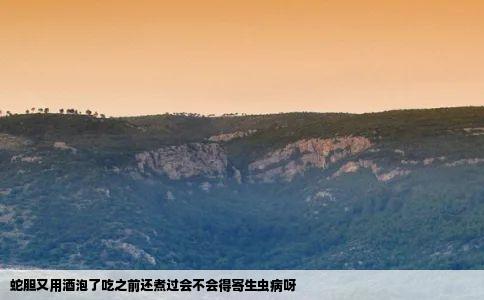 蛇胆又用酒泡了吃之前还煮过会不会得寄生虫病呀
