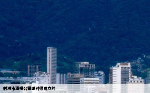 射洪市酒投公司啥时候成立的