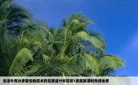 生活中有许多微生物技术的应用请分析回答1家庭酿酒时先将米煮