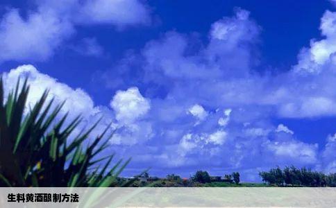 生料黄酒酿制方法