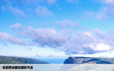 生枇杷冰糖泡酒的方法