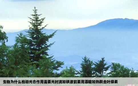 生物为什么检验光合作用需要光时滴加碘液前要用酒精加热脱去叶绿素