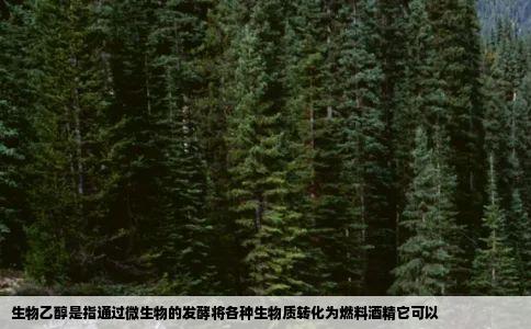 生物乙醇是指通过微生物的发酵将各种生物质转化为燃料酒精它可以