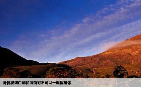 身体发烧白酒和薄荷可不可以一起擦身体