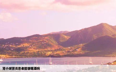 肾小球肾炎患者能够喝酒吗