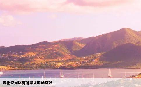 沈阳沈河区有哪家大的酒店好