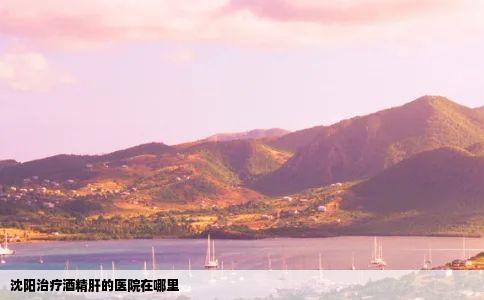 沈阳治疗酒精肝的医院在哪里