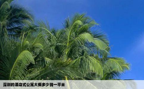 深圳的酒店式公寓大概多少钱一平米