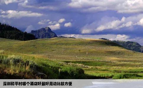 深圳和平村哪个酒店好最好周边比较方便