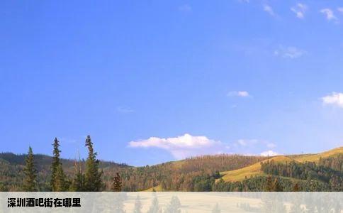 深圳酒吧街在哪里