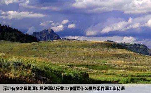 深圳有多少星级酒店想进酒店行业工作需要什么样的条件呢工资待遇