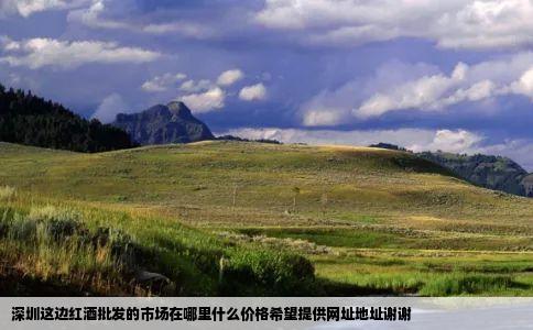 深圳这边红酒批发的市场在哪里什么价格希望提供网址地址谢谢