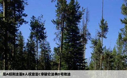 是A权利法案B人权宣言C拿破仑法典D宅地法