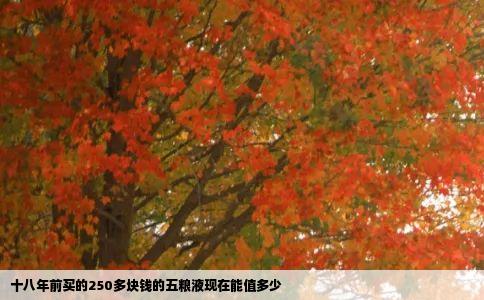 十八年前买的250多块钱的五粮液现在能值多少