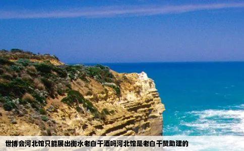 世博会河北馆只能展出衡水老白干酒吗河北馆是老白干赞助建的