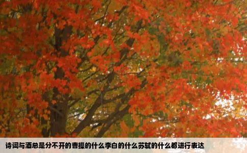 诗词与酒总是分不开的曹操的什么李白的什么苏轼的什么都进行表达