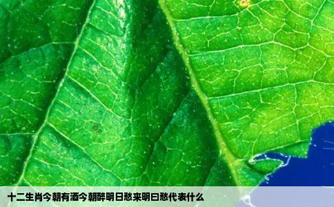 十二生肖今朝有酒今朝醉明日愁来明曰愁代表什么