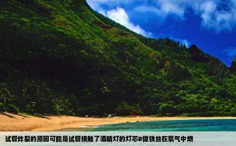 试管炸裂的原因可能是试管接触了酒精灯的灯芯B做铁丝在氧气中燃