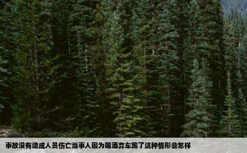 事故没有造成人员伤亡当事人因为喝酒弃车跑了这种情形会怎样