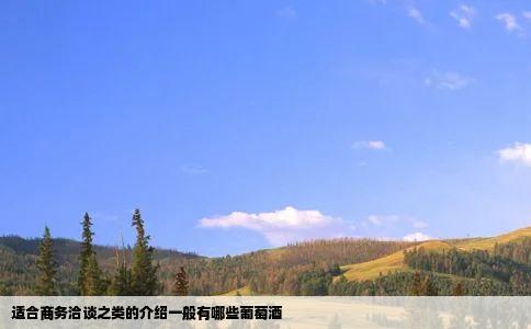 适合商务洽谈之类的介绍一般有哪些葡萄酒