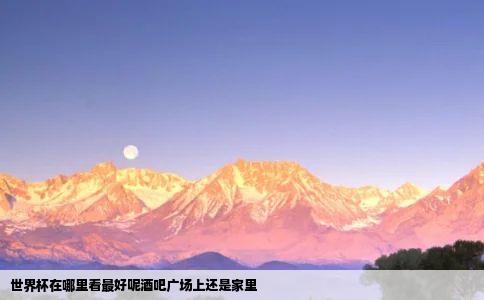 世界杯在哪里看最好呢酒吧广场上还是家里