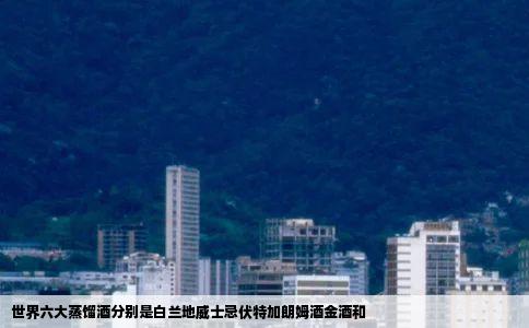 世界六大蒸馏酒分别是白兰地威士忌伏特加朗姆酒金酒和