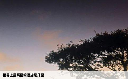 世界上最高星级酒店是几星