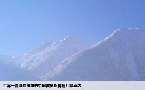 世界一流酒店组织的中国成员都有哪几家酒店